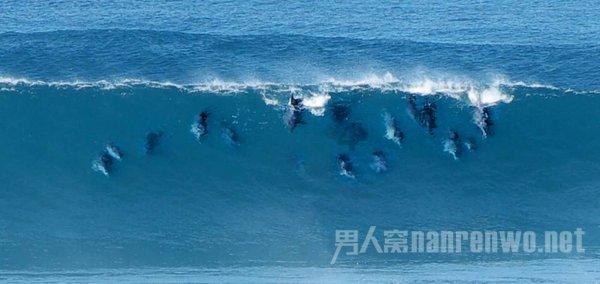 【安全生产常识】路遇高压电的保命常识